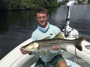 A snook caught along a mangrove shoreline