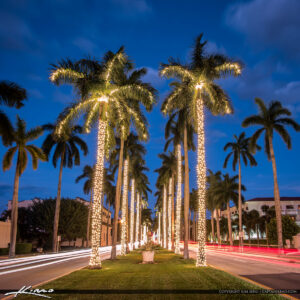 Palm trees wrapped in Christmas lights against a warm Florida evening sky